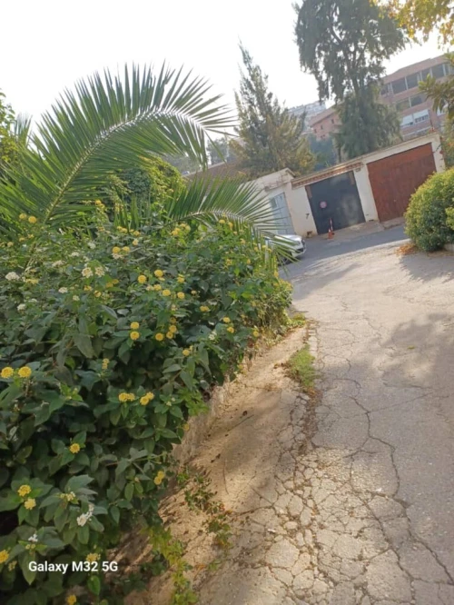 Vente Appartement F3 Alger Kouba