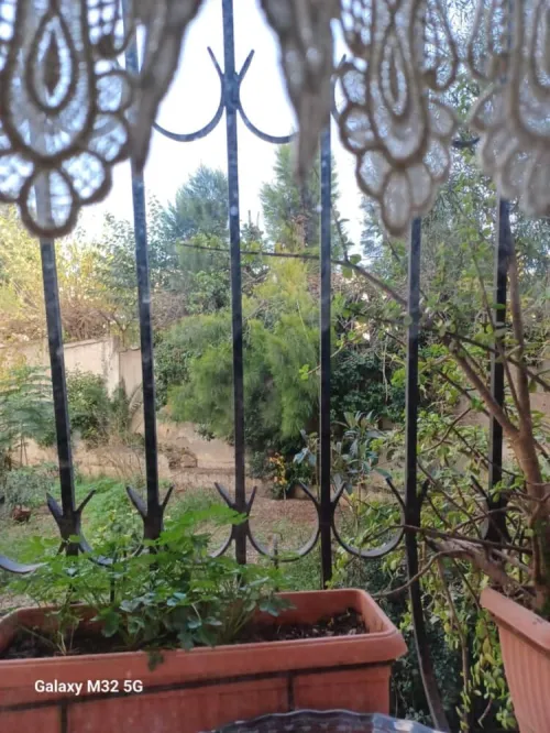 Vente Appartement F3 Alger Kouba