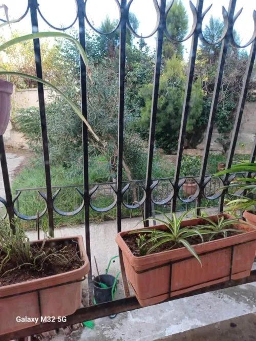 Vente Appartement F3 Alger Kouba