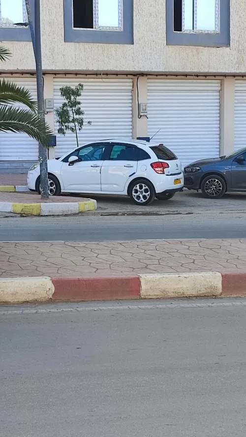 Location Local Saïda Saida