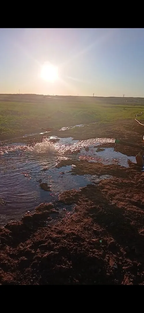 Vente Terrain Agricole El Bayadh El bayadh