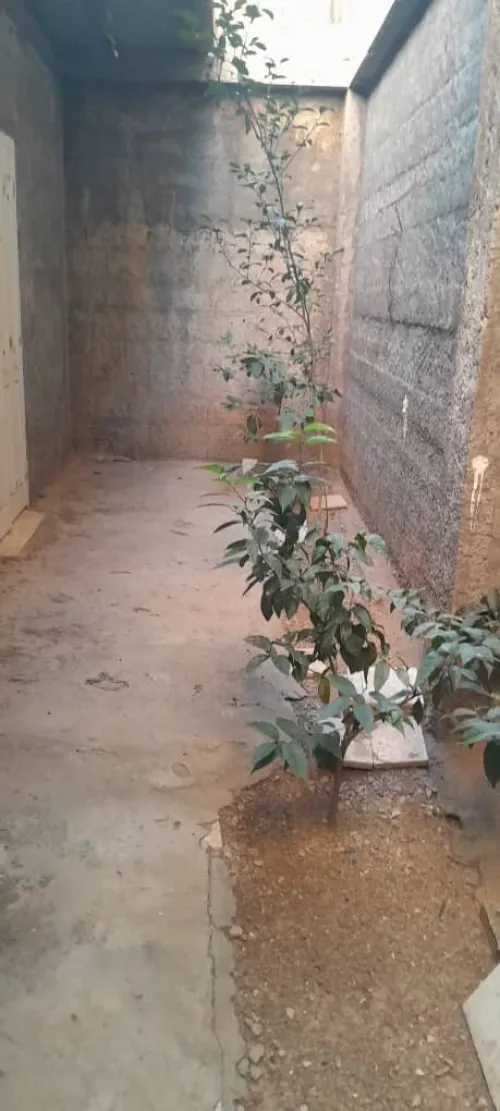 Vente Villa Boumerdès Khemis el khechna