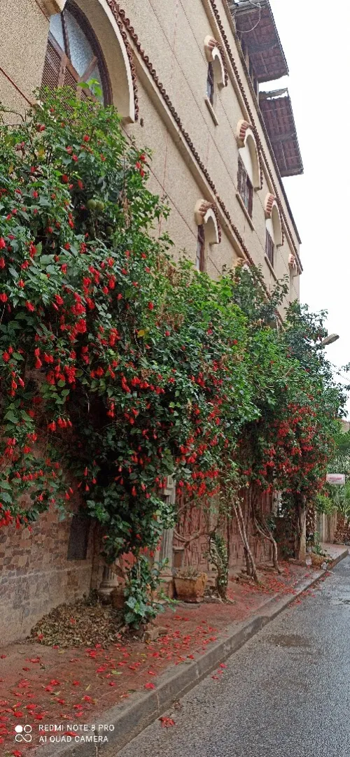 Vente Villa Blida Beni mered