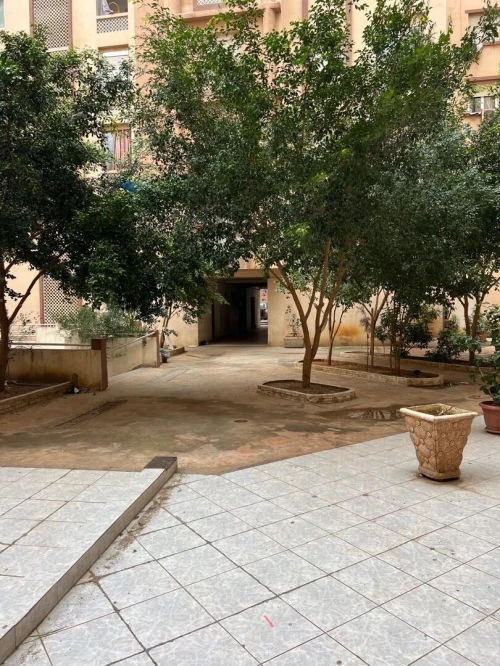 Vente Appartement F3 Blida Chrea