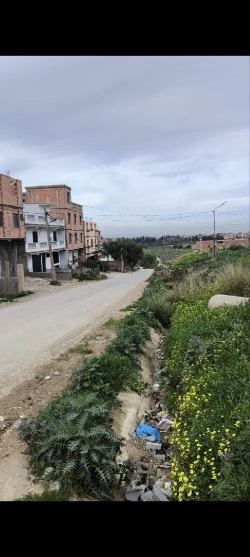 Vente Villa Blida Bougara