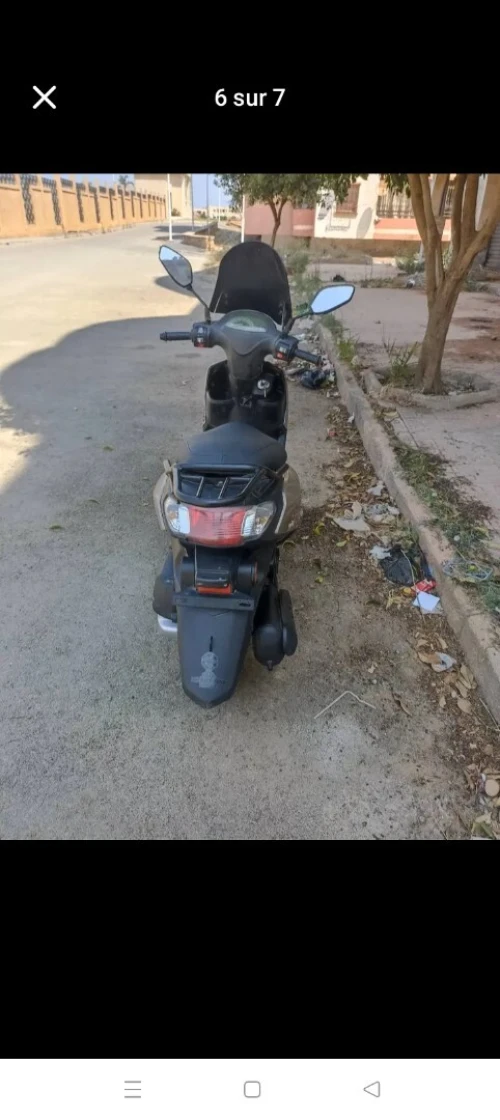 Vms Joci 2019