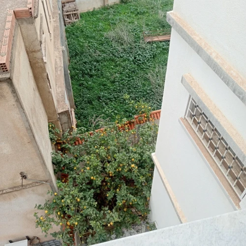 Vente Villa Alger Hussein dey