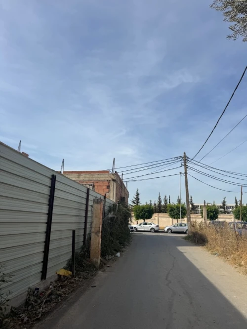 Vente Terrain Alger Birtouta