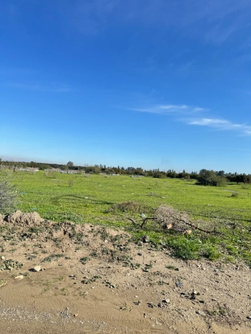 Vente Terrain Blida Ben khellil