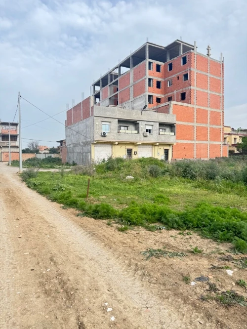 Vente Terrain Alger Ouled chebel
