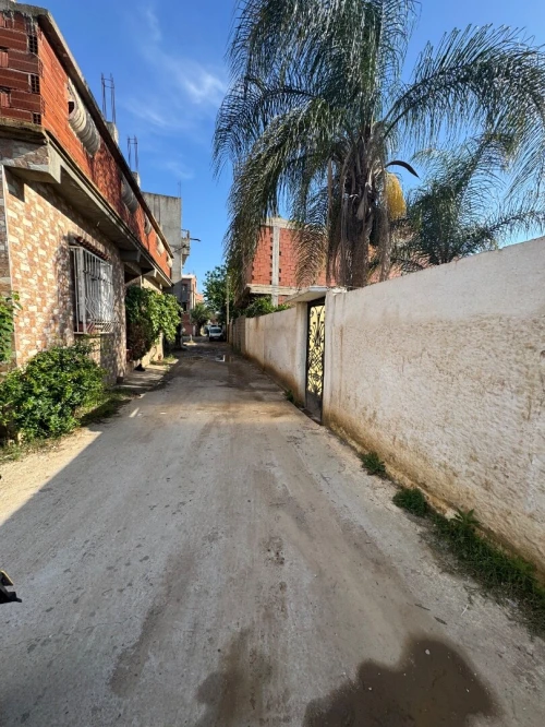 Vente Terrain Alger Ouled chebel