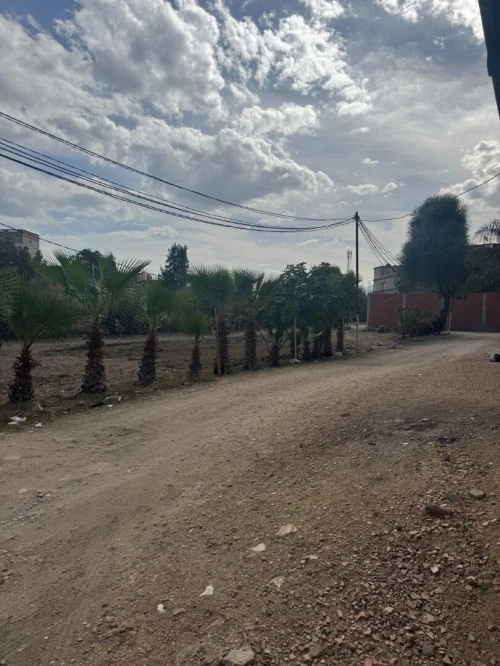 Vente Terrain Alger Ouled chebel