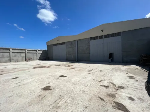 Location Hangar - Usine Blida Chebli