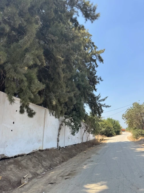 Vente Terrain Blida Bouinan