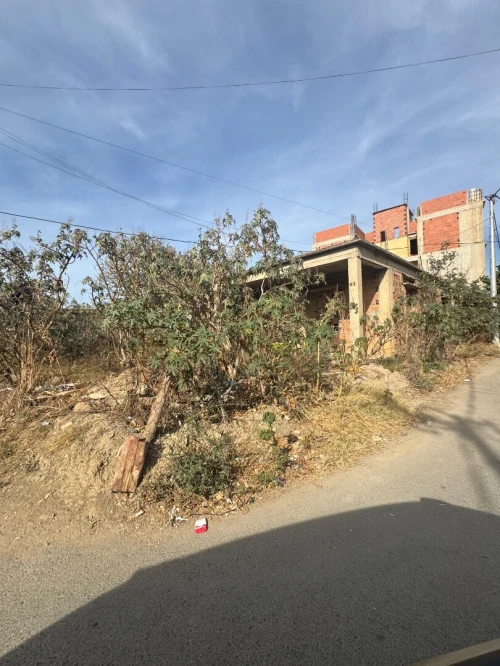 Vente Terrain Alger Birtouta