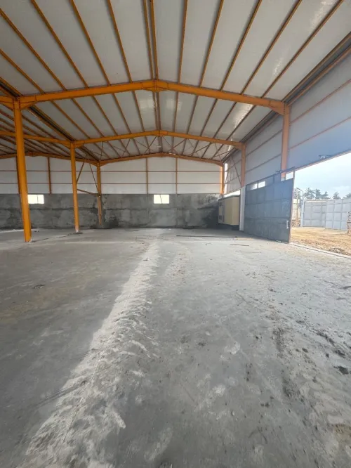 Location Hangar Blida Chebli