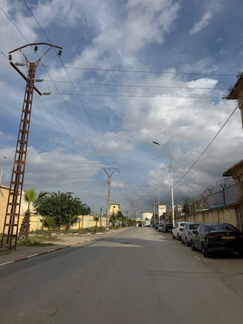Vente Terrain Blida Blida