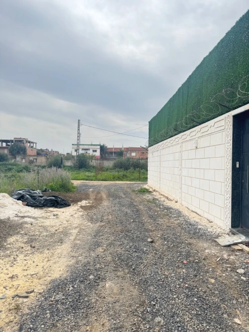 Vente Terrain Alger Ouled chebel