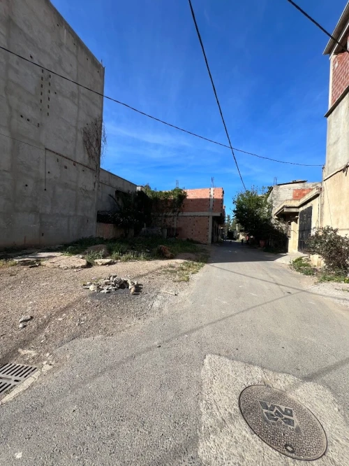 Vente Terrain Blida Boufarik