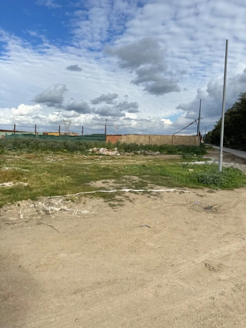Vente Terrain Alger Tessala el merdja