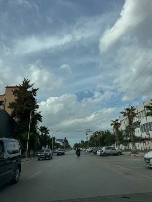 Vente Terrain Blida Blida
