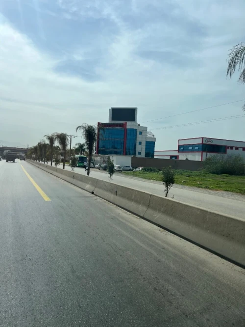 Vente Terrain Alger Tessala el merdja