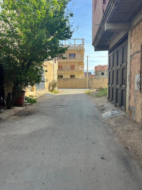 Vente Terrain Blida Boufarik