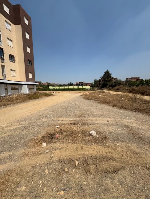 Vente Terrain Blida Bouinan