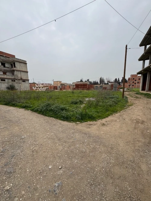 Vente Terrain Alger Ouled chebel