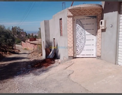 Vente Villa Blida Ain romana