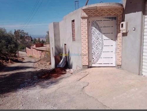 Vente Villa Blida Ain romana