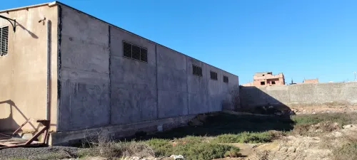 Vente Hangar Oran Ben freha