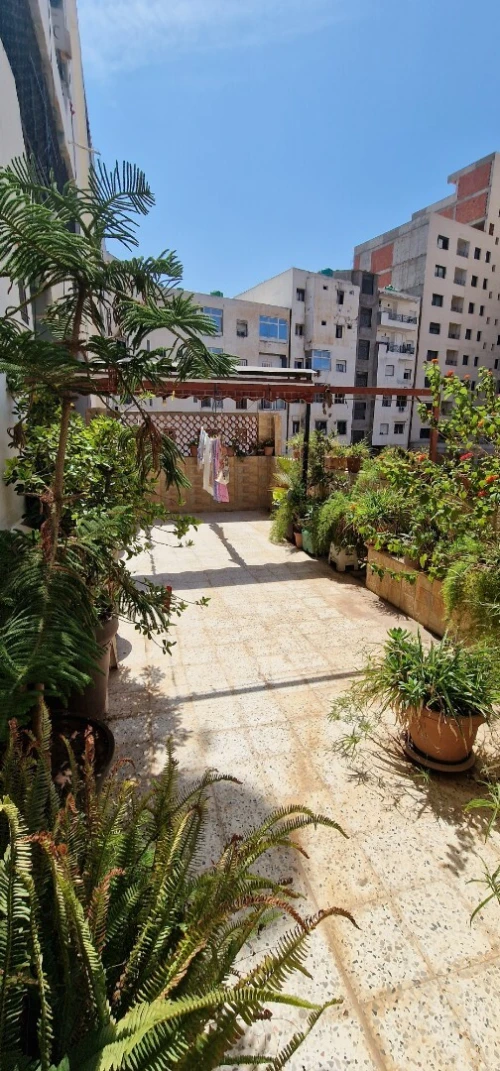 Vente Appartement F6 Oran Oran