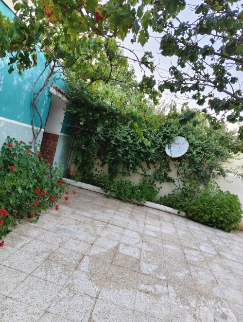 Location vacances Appartement F2 Mostaganem Sidi lakhdaara