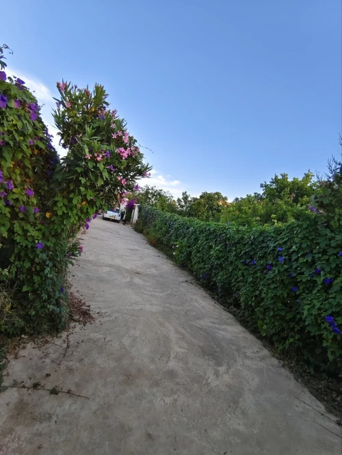 Location vacances Appartement F2 Mostaganem Sidi lakhdaara