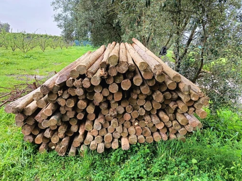 Piquet en bois