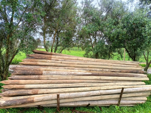 Piquet en bois