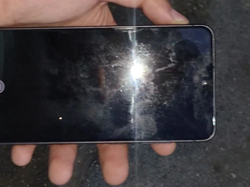 Samsung Galaxy S21FE