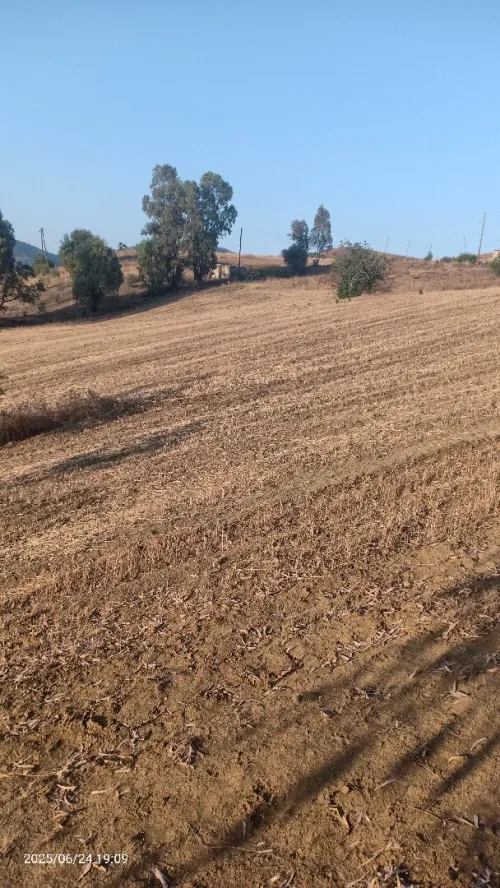 Vente Terrain Bouira Aomar