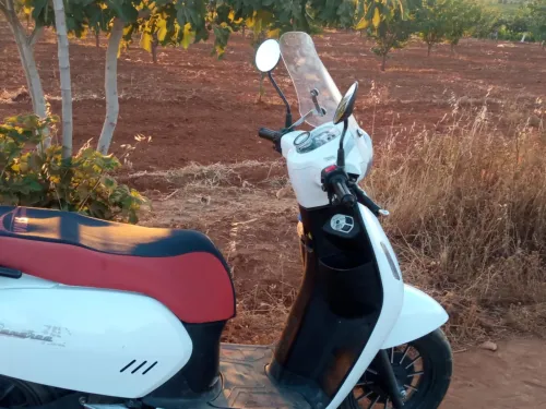 Vms Panarea 2023