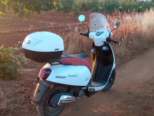 Vms Panarea 2023