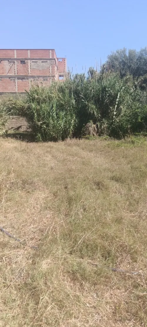 Vente Terrain Boumerdès Ouled hedadj