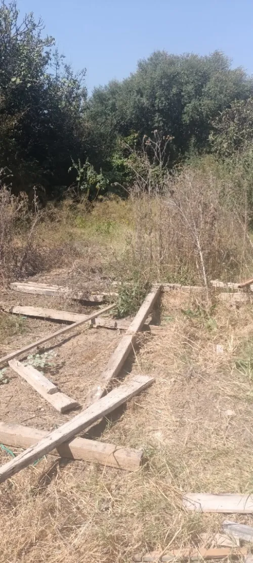 Vente Terrain Boumerdès Ouled hedadj