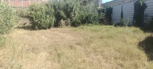 Vente Terrain Boumerdès Ouled hedadj