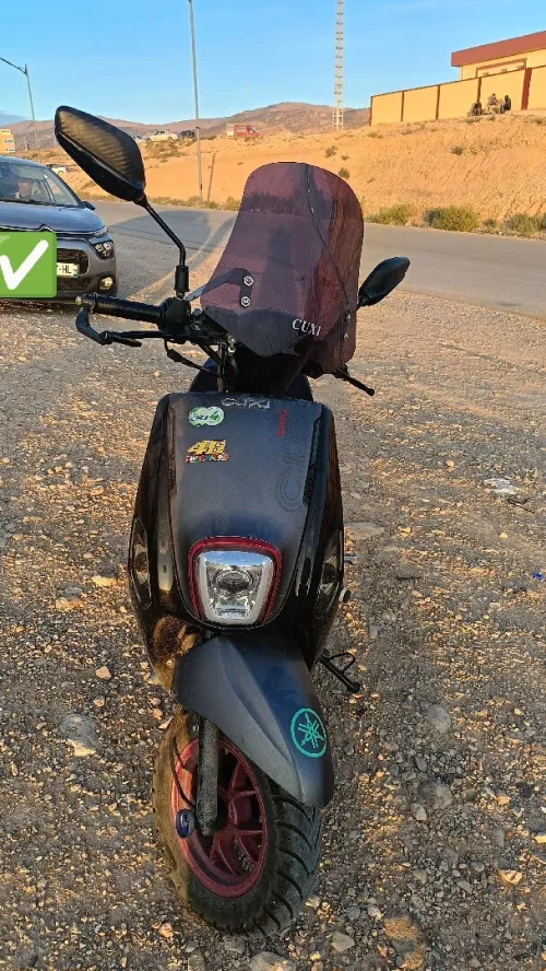 Vms Cuxi 2 2024