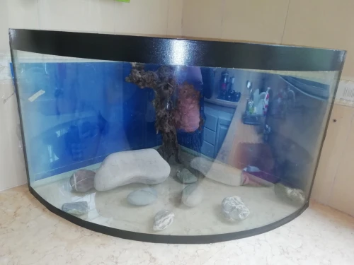 Aquarium