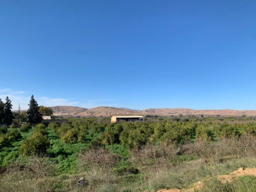 Vente Terrain Agricole Tlemcen Tlemcen