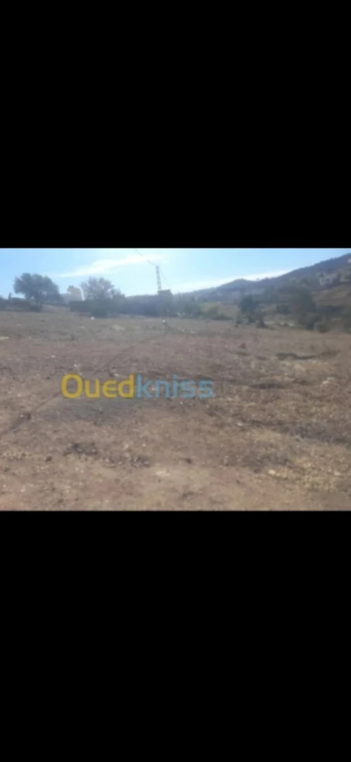 Vente Terrain Tlemcen Ghazaouet