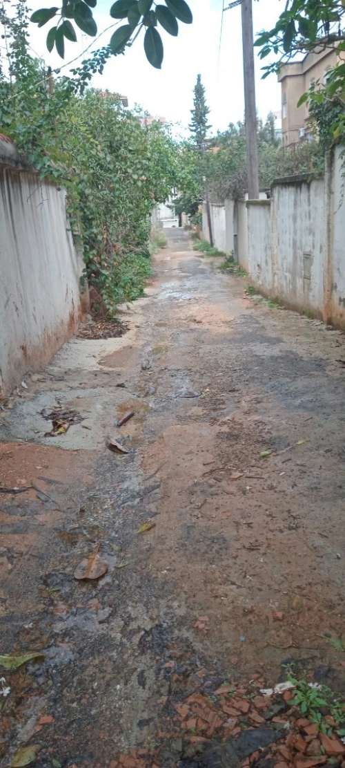 Vente Villa Alger Birkhadem