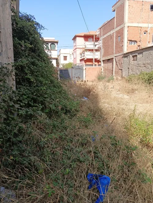 Vente Terrain Tipaza Hadjout
